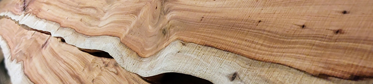 Beautiful wood grain texture