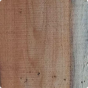Yew wood texture